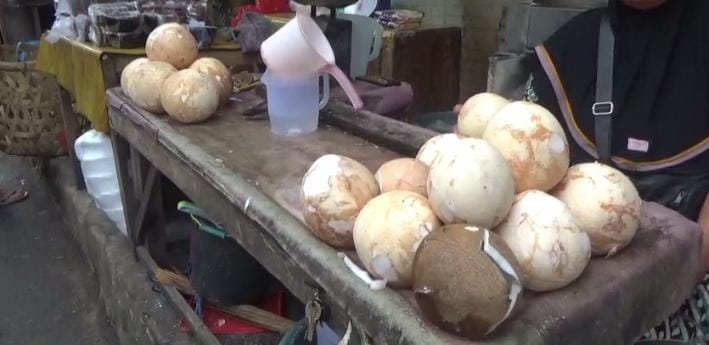 Harga Kelapa Melonjak di Mesuji, Capai Rp18.000 per Butir, Ini Penyebabnya