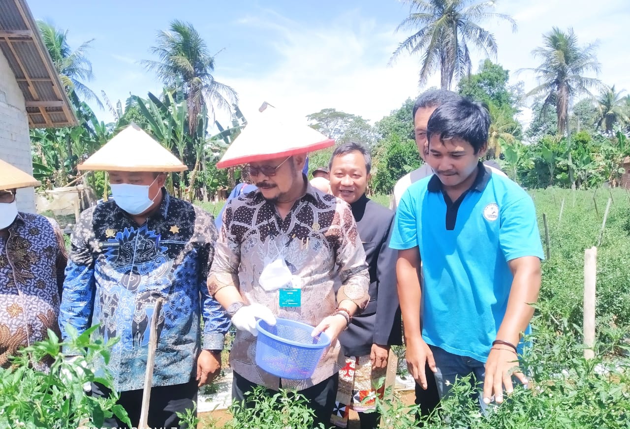 Menteri Pertanian Tinjau Lahan dan Panen Cabai di Lahan Pertanian Terintegrasi Pesawaran