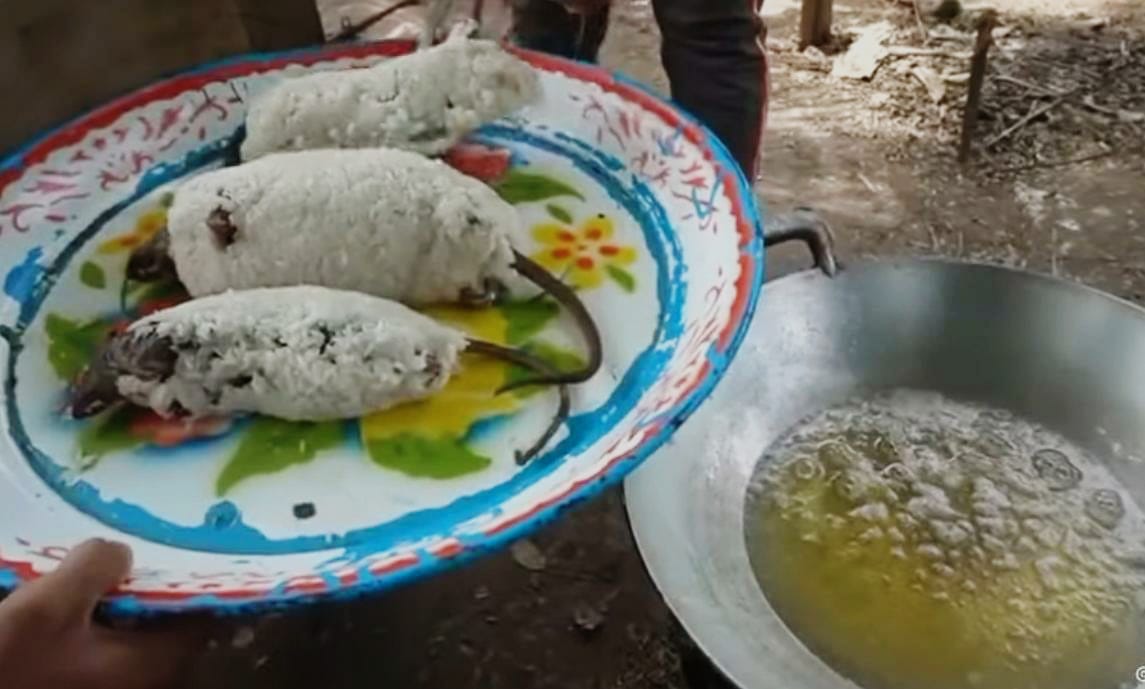 Jadi Makanan Populer di Vietnam, Ternyata Daging Hewan Ini Memiliki Dampak Buruk untuk Kesehatan