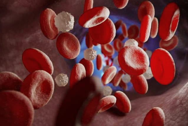Here's the explanation: Fasting Can Control Blood Sugar and Prevent Cancer