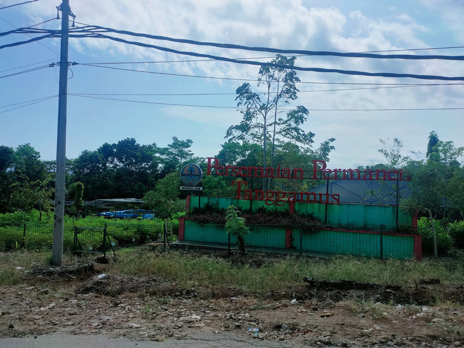 PP Siapkan 90 Ribu Bibit Pinang Gratis untuk Petani Lampung
