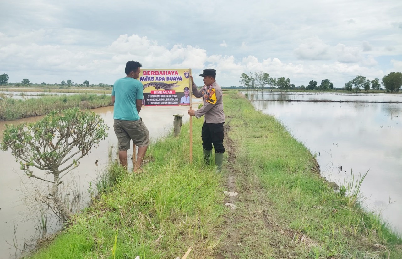 Waspada! Buaya Sering Muncul di Tiga Lokasi Ini
