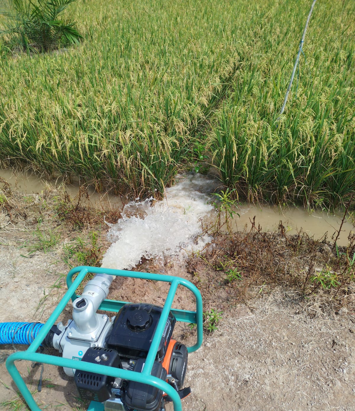 Bantu Petani Atasi Kekeringan, Dinas Pertanian Distribusikan Ratusan Pompa Air Bantuan Kementan