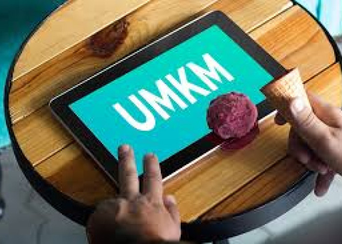 60 UMKM di Mesuji Terima Bantuan Selama Tahun 2022
