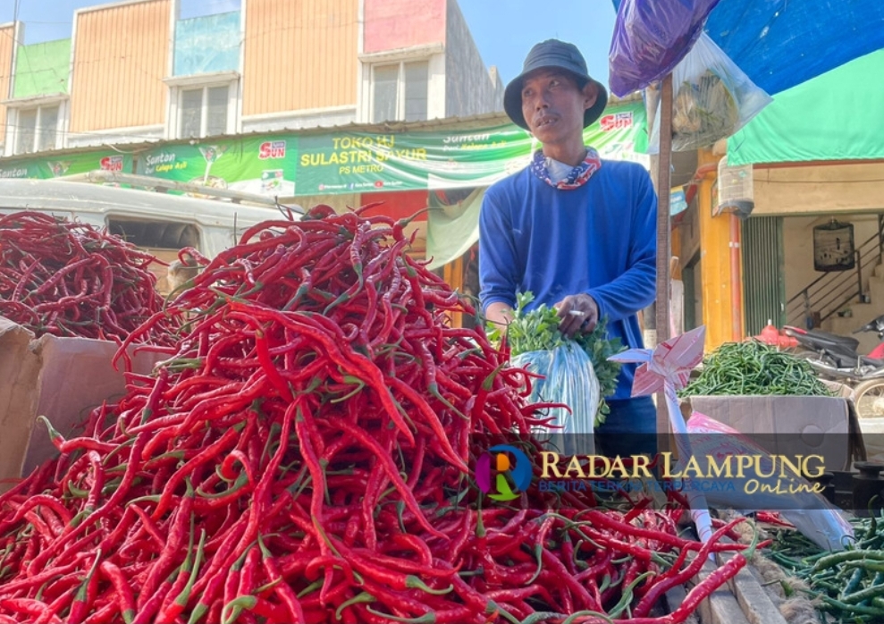 Harga Cabai Masih 'Pedas' Meski Perlahan Turun
