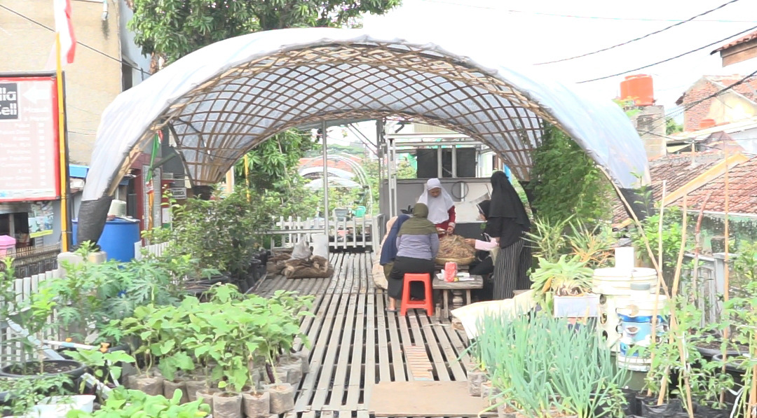 Program BRInita Sukses Jadikan Kelurahan Padjajaran Bandung Jadi Percontohan Urban Farming