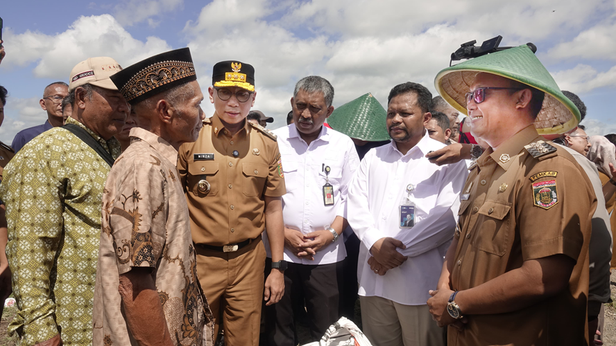 Kejar Produksi 1 Juta Ton Gabah, Luas Tambah Tanam Lampung Tengah Tahun 2025 Ditarget 206.000 Ha