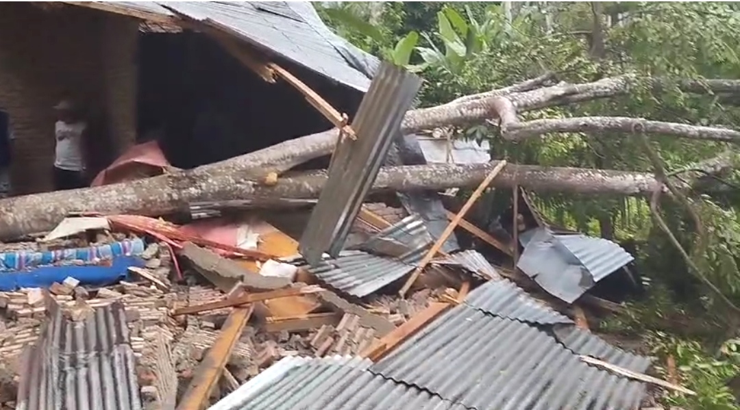 Angin Kencang Terjang Kota Agung Lampung, Satu Rumah Ambruk, Bocah 8 Tahun Luka