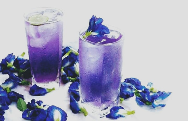 Simak, Ini Tiga Racikan Minuman Berkhasiat Berbahan Dasar Bunga Telang
