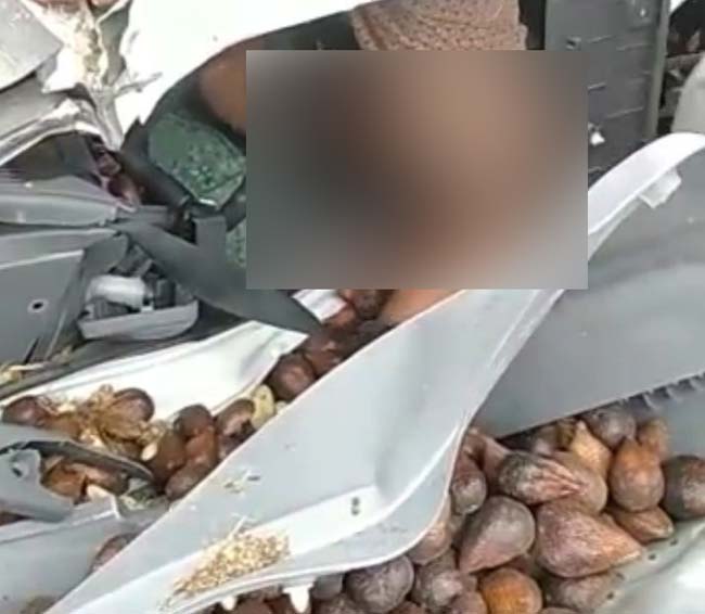 Lakalantas di Ruas Jalan Tol Lampung-Palembang, Truk Pengangkut Buah Salak Buyar
