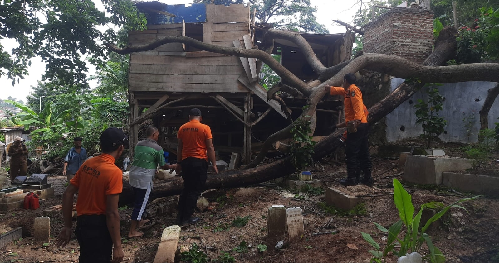 Diduga Angin Kencang dan Hujan Deras , BPBD Evakuasi 3 Pohon Tumbang dan 5 Rumah Hanyut di Bandar Lampung