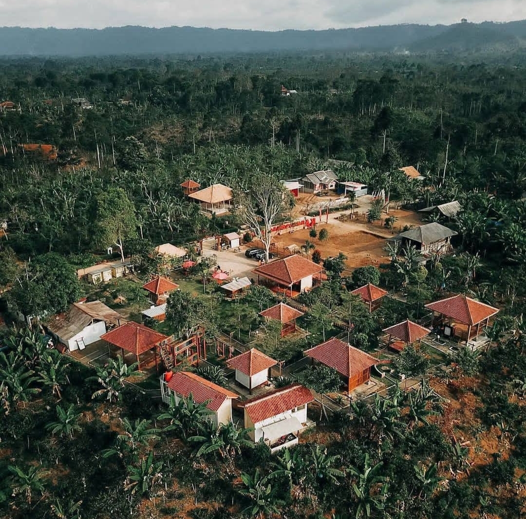 4 Rekomendasi Wisata Kopi di Lampung, Penikmat Kopi Wajib Coba Kopi Robusta Yang Jadi Andalan