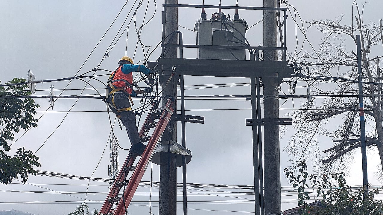 PLN Beri Diskon 50 Persen di Januari dan Februari 2025, Ini Kriteria Pelanggan yang Dapat Potongan