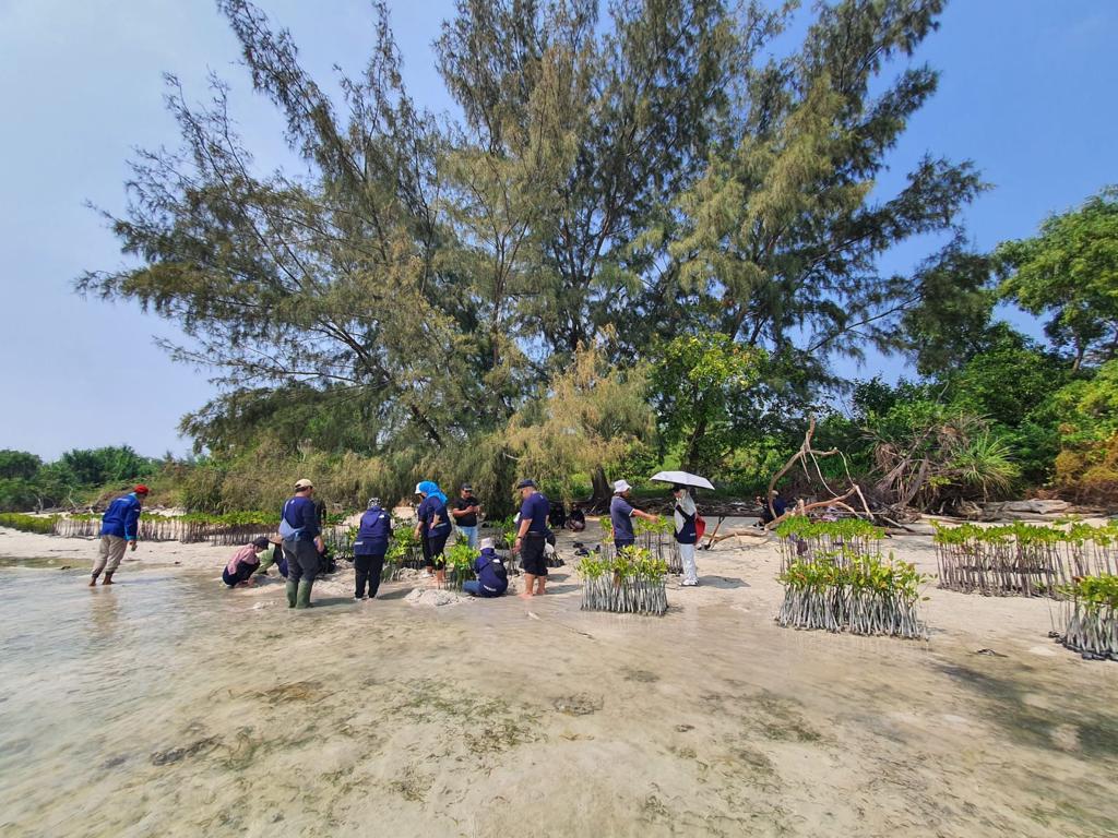 BRI Kembali Tanam 10.500 Bibit Mangrove di Pulau Tidung, Sebagai Upaya Dukung Pemerintah Bebas Emisi Karbon