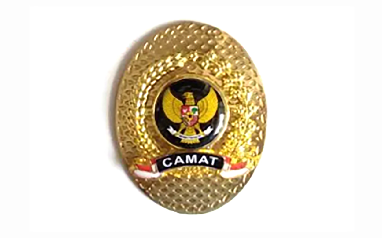 Update Daftar Camat di Kabupaten Tanggamus Lampung, 11 Hasil Mutasi Terbaru