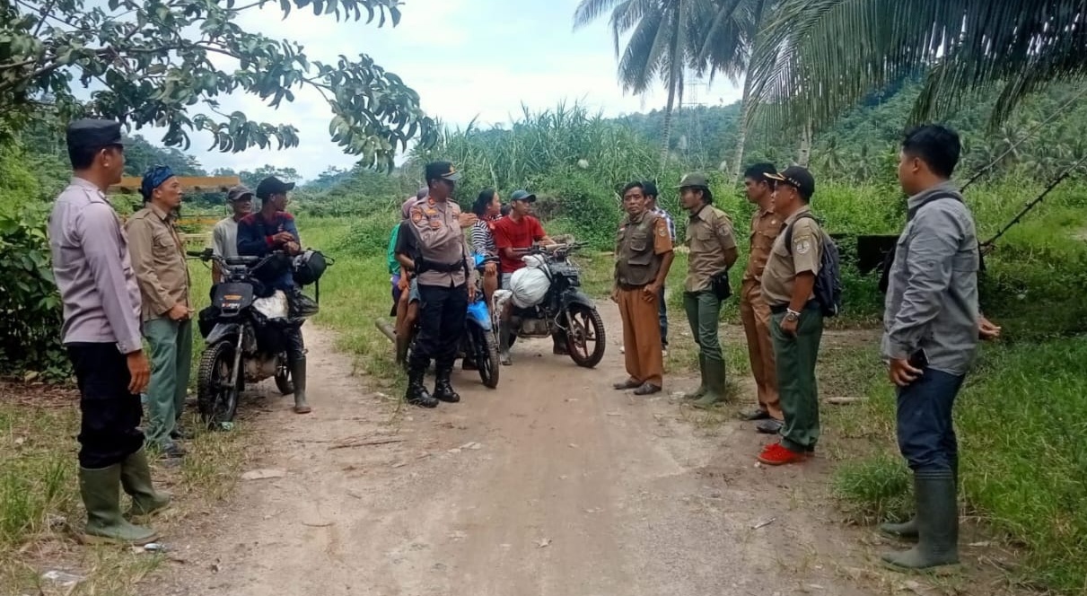 Kawanan Gajah Masuki Pemukiman di Semaka Tanggamus, Tim Gabungan Gerak Cepat Giring ke TNBBS