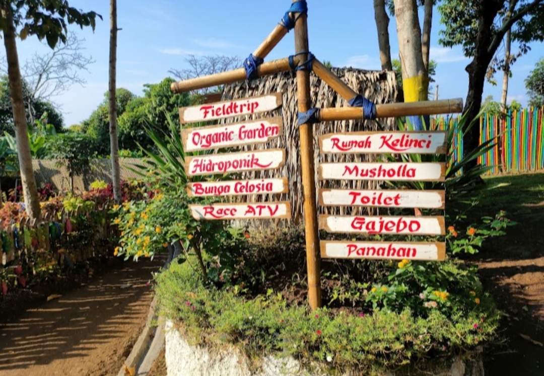 Indahnya Bunga Celosia hingga Race ATV, Healing Asyik Sambil Cari Inspirasi di Wisata Umbul Helau Lampung