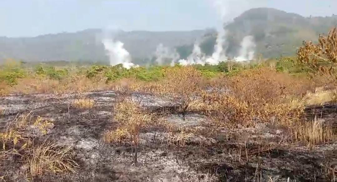 Savana di Danau Minyak Suoh Lampung Barat Terbakar, Ini Penyebabnya
