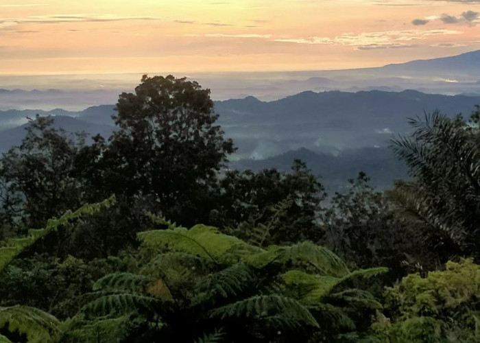 15 Wisata Hidden Gems Tanggamus Lampung, Nomor 4 Disebut Negeri Diatas Awan