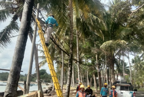 Sukseskan Ajang World Surf League Krui Pro 2022, PLN Siapkan Jaringan Listrik Andal di Pesisir Barat