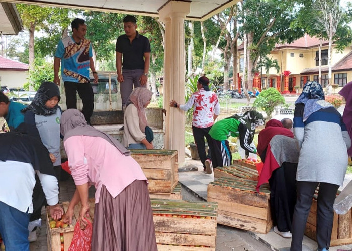 Harga Anjlok, Ada yang Lakukan Aksi Borong Tomat Sampai Satu Ton 