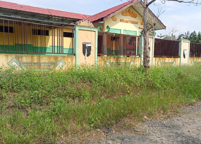 Kondisinya Usang dan Tidak Terawat, Gudang Farmasi di Mesuji Bak Sarang Hantu, Kemana Dinkes Mesuji