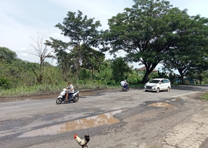 Waspada! Ada Jalan Berlubang di Jalintengsum