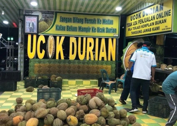 Rekomendasi Tempat Kuliner Malam di Medan, Terkenal Enaknya