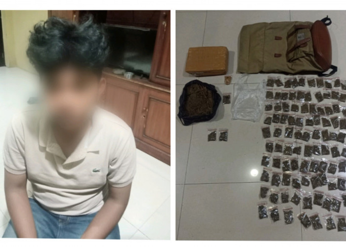Duh, Mahasiswa Bandar Lampung asal Lampung Utara Ini Diduga Simpan 2 Kg Ganja Kering Siap Edar 