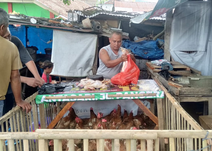 Sambut Bulan Suci Ramadhan, Harga Daging Ayam dan Telur di Bandar Lampung Naik