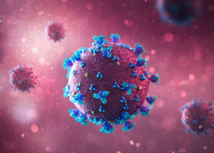 3 Gejala Khas Flu Singapura yang Terjadi Pada Orang Dewasa, Awas Keliru