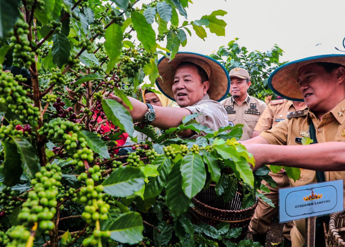 e-KPB Mudahkan Sistem Pertanian dan Tingkatkan Perekonomian Petani Lampung