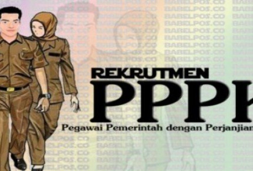 Ini Kabar Terbaru Soal PPPK Tanggamus 