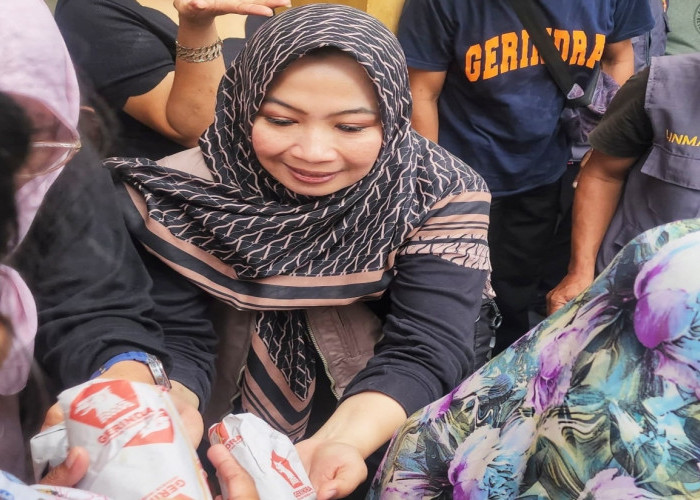 Gubernur Lampung Kirim Bantuan ke Korban Banjir di Bandar Lampung, Fraksi Gerindra Gerak Cepat Tinjau Lokasi 