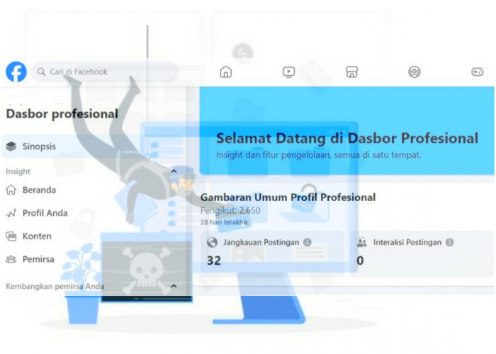 Bahaya Menggunakan Mode Profesional di Facebook Pro