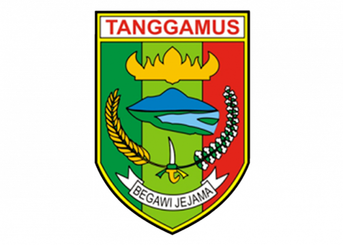 Sekretaris DPRD Tanggamus Mundur Dari Jabatan, Penyebabnya Karena Ini 