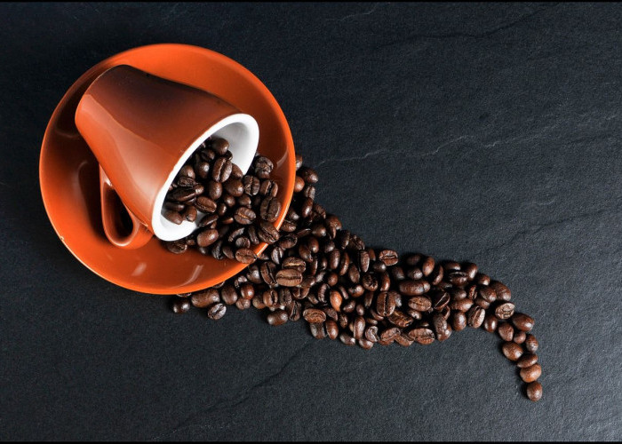 Selain Bisa Menghilangkan Rasa Kantuk, Ternyata Ada Juga Beberapa Manfaat Dari  Secangkir Kopi untuk Kesehatan