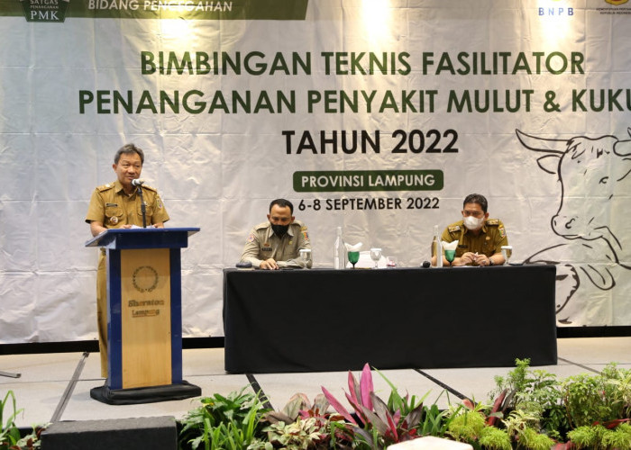 Pemprov Terus Berupaya Keras agar Capai Zero Case dalam Kasus PMK