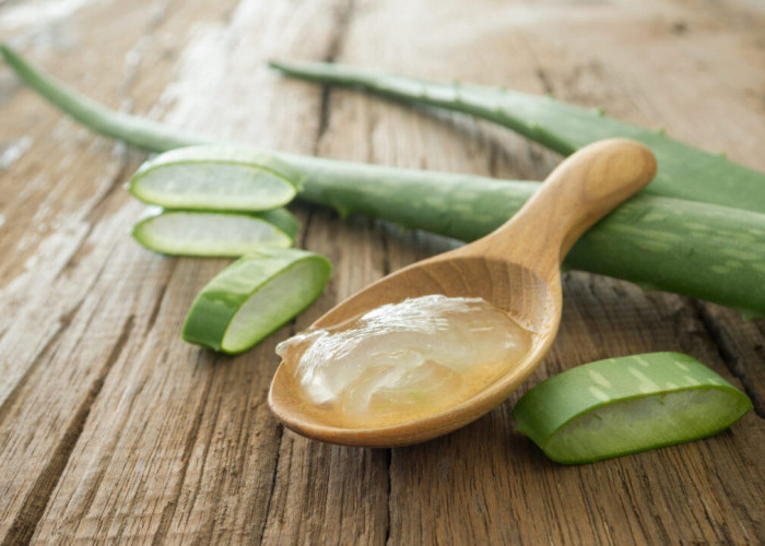 Kaya Akan Manfaat, Berikut Ini Jenis dan Cara Konsumsi Tanaman Herbal yang Baik dan Benar 