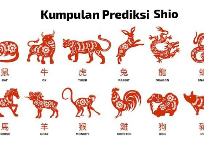 Kumpulan Shio yang Diprediksi Bernasib Baik, Lancar Rezeki dan Bakal Bertemu Jodoh Bulan Ini