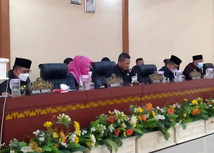 Paripurna RAPBD, Bupati Tanggamus Sampaikan Prioritas Pembangunan Tahun 2023 
