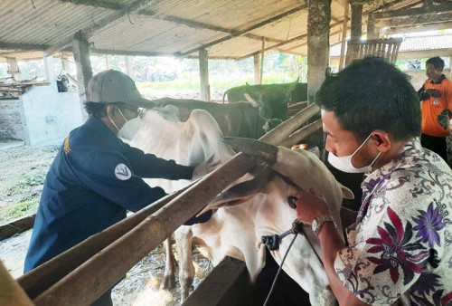 Manusia Dilarang Berobat di Posyandu Ini
