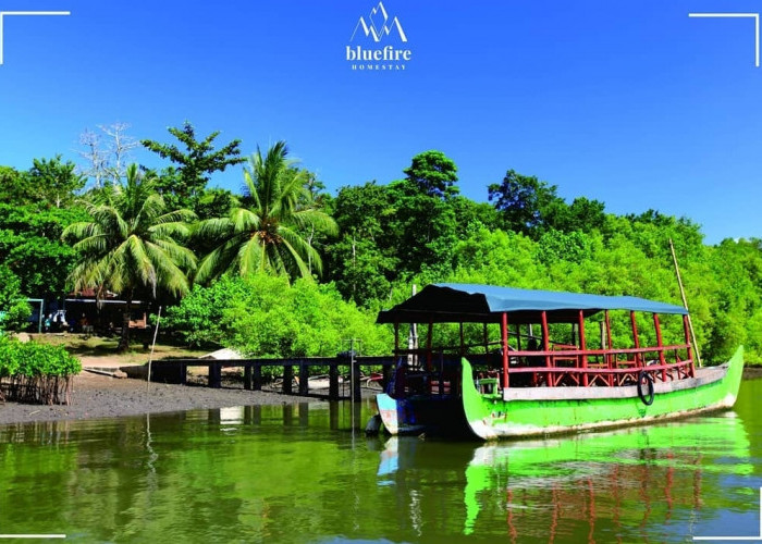 9 Destinasi Wisata Banyuwangi  yang Wajib di Jelajahi, Nomor 2 Disebut Amazon-nya Indonesia