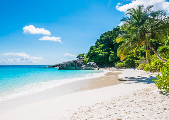 6 Rekomendasi Tempat Nongkrong dengan View Pantai di Lampung, No. 3 Cuma Satu Jam dari Bandar Lampung
