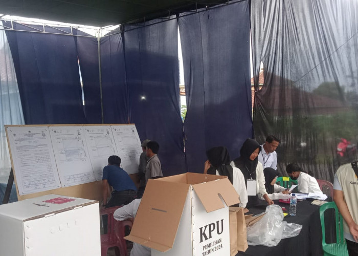 Partisipasi Pemilih untuk di Pilkada Mesuji Lampung Capai 72 Persen