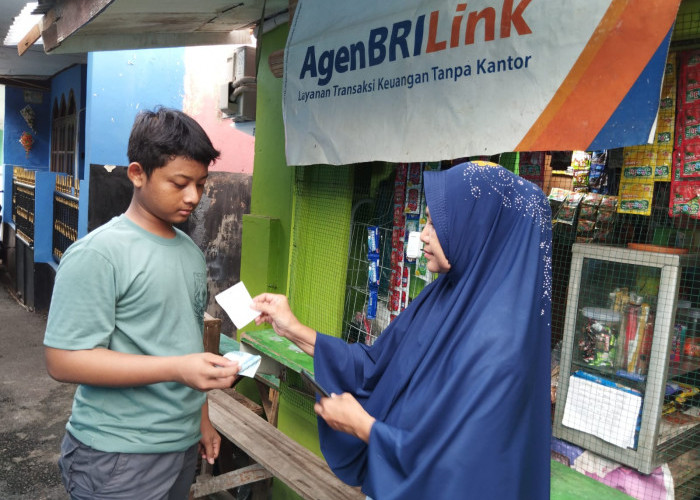 Tingkatkan Literasi Keuangan Masyarakat, AgenBRILink Ini Jadi Penyalur Kredit Ultra Mikro