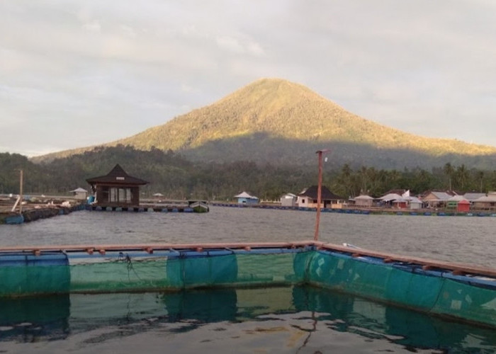 7 Tempat Kuliner Lezat di Lampung Barat, Nikmati Sensasi Nyantap Dengan Background Perbukitan