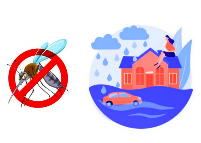 Bandar Lampung Diguyur Hujan Lebat, BPBD dan BMKG Lampung Ingatkan Potensi Banjir Hingga DBD