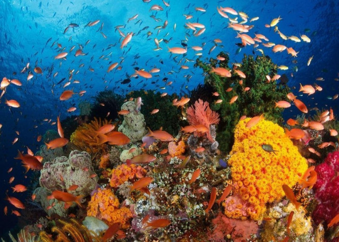 10 Tempat Wisata di Indonesia Yang Mendunia, Dijamin Wisatawan Terhipnotis dan Betah