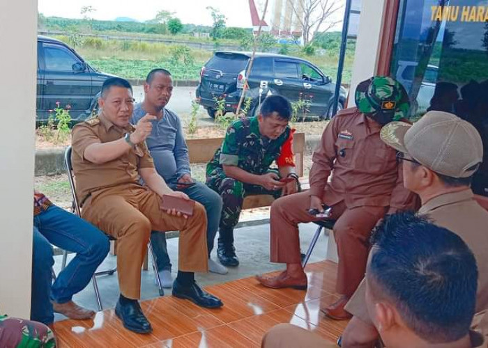 Lahan Kota Baru Disewa, Harga Mulai Rp 3 Juta Per Hektare, Berminat?
